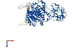 GALNT4 Protein (AA 1-578) (His tag)