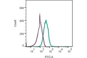 Direct flow cytometry of Apamin in live intact rat  cells. (Apamin peptide (Atto 488))