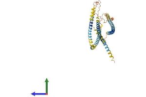Protein Structure (PS) image for Spermatogenic Leucine Zipper 1 (SPZ1) (AA 1-430) protein (His tag) (ABIN7546239)