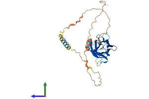 Protein Structure (PS) image for Tumor Necrosis Factor (Ligand) Superfamily, Member 9 (TNFSF9) (AA 1-309) protein (His tag) (ABIN7563234)