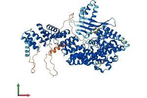 AlphaFold protein structure predicition of Human Recombinant TTC13 Protein, UniprotID Q8NBP0