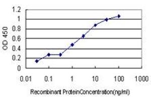 Detection limit for recombinant GST tagged GCH1 is approximately 0. (GCH1 Antikörper  (AA 84-172))