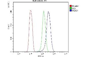 Flow Cytometry analysis of HEPA1-6 cells using anti-Insig1 antibody (ABIN7603176).