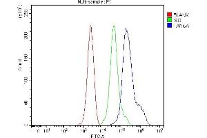 Flow Cytometry analysis of ANA-1 cells using anti-Fanca/FAA antibody (ABIN7599897).