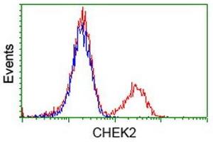 Flow Cytometry (FACS) image for anti-Checkpoint Kinase 2 (CHEK2) antibody (ABIN1497498)