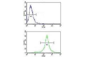 Flow cytometric analysis of NCI-H460 cells using c-Kit antibody (green) compared to a negative control cell (blue).