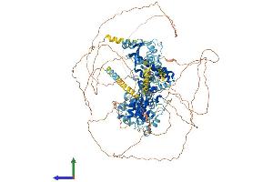 Protein Structure (PS) image for Replication Factor C (Activator 1) 1, 145kDa (RFC1) (AA 1-1148) protein (His tag) (ABIN7555219)