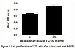 Image no. 3 for Fibroblast Growth Factor 22 (FGF22) (AA 26-162) (Active) protein (His tag) (ABIN6239864)