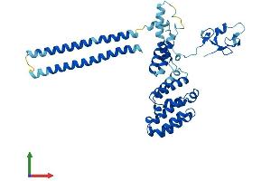 AlphaFold protein structure predicition of Human Recombinant RMND5A Protein, UniprotID Q9H871