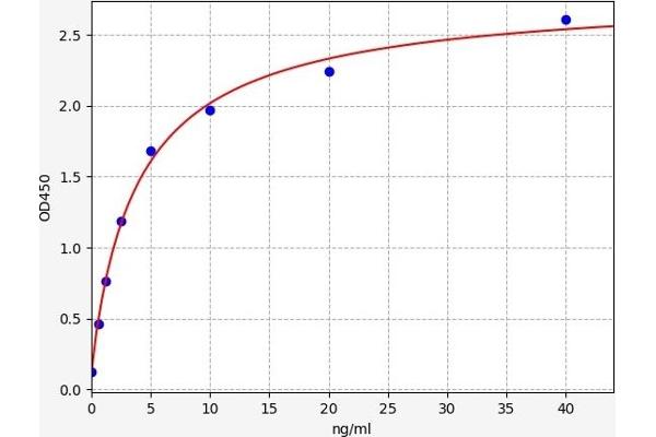 PIK3R1 ELISA Kit