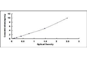 Cathepsin G ELISA Kit