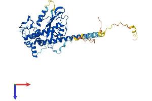 HS6ST1 Protein (AA 1-411) (His tag)