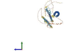 Protein Structure (PS) image for Coiled-Coil Domain Containing 125 (CCDC125) (AA 1-500) protein (His tag) (ABIN7557560)
