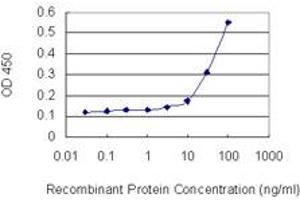 Detection limit for recombinant GST tagged GJB2 is 3 ng/ml as a capture antibody. (GJB2 Antikörper  (AA 1-226))