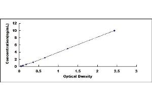 Typical standard curve (EIF4A2 ELISA Kit)