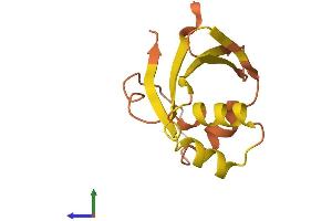 AlphaFold protein structure predicition of Human Recombinant SNURFL Protein, UniprotID B1AK76