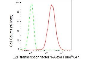 Flow cytometric analysis of E2F transcription factor 1 expression in C2C12 cells using E2F transcription factor 1 antibody (ABIN7798413), 1:2,000).