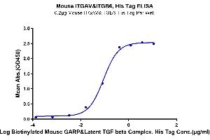 Immobilized Mouse ITGAV&ITGB6, His Tag at 2 μg/mL (100 μL/well) on the plate.