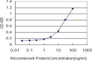 Detection limit for recombinant GST tagged STAT5B is approximately 0. (STAT5B Antikörper  (AA 678-787))