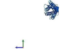 Protein Structure (PS) image for Transmembrane Protein 37 (TMEM37) (AA 1-190) protein (His tag) (ABIN7553148)