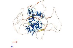PTPN14 Protein (AA 1-1187) (His tag)
