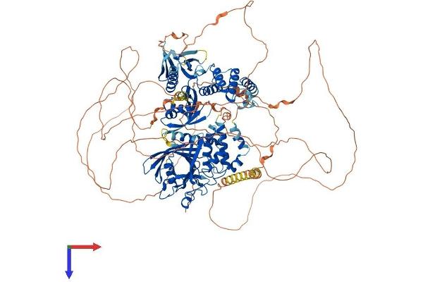 PTPN14 Protein (AA 1-1187) (His tag)