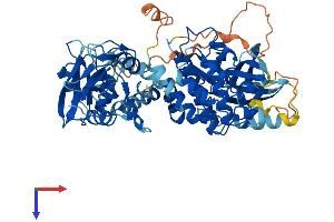 ZAP70 Protein (AA 1-619) (His tag)
