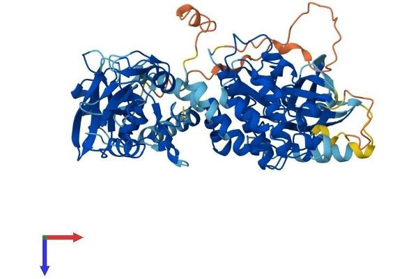 ZAP70 Protein (AA 1-619) (His tag)