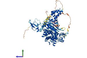 Protein Structure (PS) image for Zinc Finger, BED-Type Containing 1 (ZBED1) (AA 1-694) protein (His tag) (ABIN7545240)