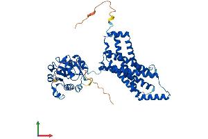 Protein Structure (PS) image for STEAP Family Member 2, Metalloreductase (STEAP2) (AA 1-490) protein (His tag) (ABIN7546371)