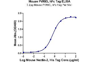 Immobilized Mouse PVRIG, hFc Tag at 2 μg/mL (100 μL/well) on the plate. (PVRIG Protein (AA 35-165) (Fc-Avi Tag))