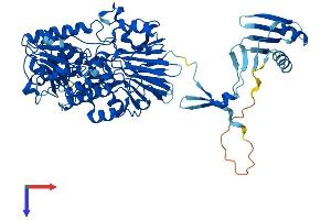 INTS9 Protein (AA 1-658) (His tag)