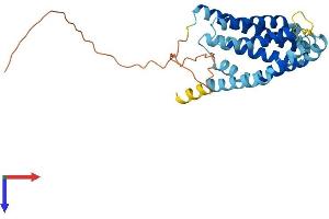 PTPLA Protein (AA 1-288) (His tag)