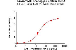 ELISA plate pre-coated by 1 μg/mL (100 μL/well) Human TACI Protein, hFc Tag(ABIN6964073, ABIN7042401 and ABIN7042402) can bind Anti-TACI Rabbit mAb in a linear range of 3.