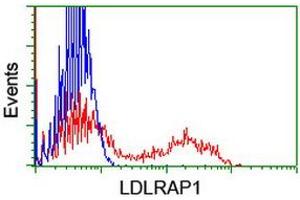 Flow Cytometry (FACS) image for anti-Low Density Lipoprotein Receptor Adaptor Protein 1 (LDLRAP1) antibody (ABIN1496690) (LDLRAP1 Antikörper)