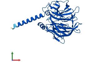AlphaFold protein structure predicition of Human Recombinant PON2 Protein, UniprotID Q15165