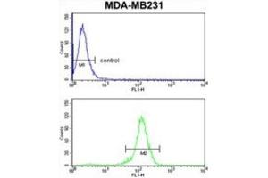 Flow Cytometry (FACS) image for anti-Retinoblastoma Binding Protein 7 (RBBP7) antibody (ABIN3003931) (RBBP7 Antikörper)