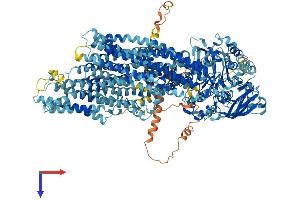ABCC3 Protein (AA 1-1523) (His tag)