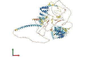 Protein Structure (PS) image for Budding Uninhibited By Benzimidazoles 1 Homolog beta (Yeast) (BUB1B) (AA 1-1050) protein (His tag) (ABIN7552686)