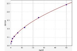 Typical standard curve (SLC5A2 ELISA Kit)