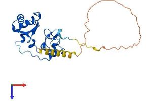 SNRNP35 Protein (AA 1-244) (His tag)