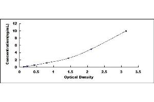 Typical standard curve (CDC42 ELISA Kit)