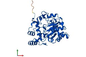 Protein Structure (PS) image for Sulfotransferase Family, Cytosolic, 1A, Phenol-Preferring, Member 1 (SULT1A1) (AA 1-295) protein (His tag) (ABIN7546363)