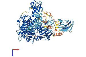 MOV10 Protein (AA 1-1003) (His tag)