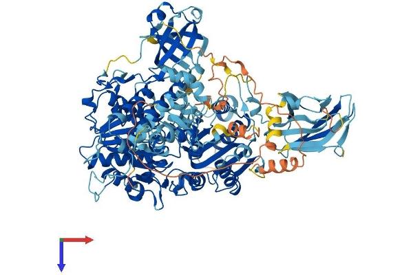 MOV10 Protein (AA 1-1003) (His tag)
