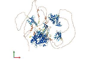 Protein Structure (PS) image for Adenosine Deaminase, RNA-Specific (ADAR) (AA 1-1226) protein (His tag) (ABIN7553743)