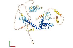 Protein Structure (PS) image for Makorin Ring Finger Protein 1 (MKRN1) (AA 1-481) protein (His tag) (ABIN7561756)