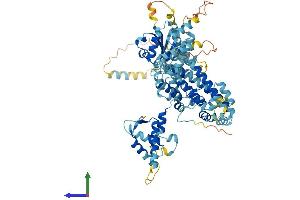 AlphaFold protein structure predicition of Mouse Recombinant Orc3 Protein, UniprotID Q9JK30
