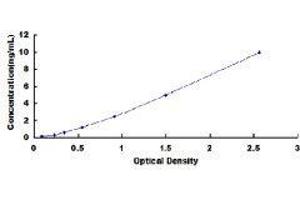 ELISA image for Myelin Basic Protein (MBP) ELISA Kit (ABIN431334)
