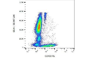 Surface staining of CD150 in human peripheral blood with anti-CD150 (SLAM.
